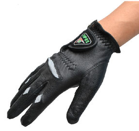 Golfhandschuh fournisseur