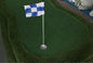 Grüne Flagge der Golfpraxis fournisseur