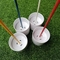 Golfschale stellte Golfschalenplastikgolfschale einstellt Golfflaggenwelle ein fournisseur
