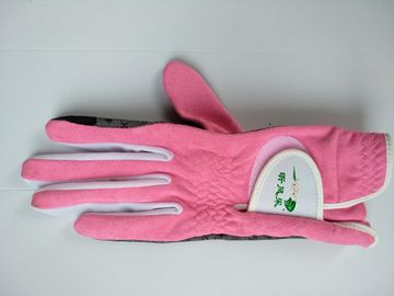 Golfhandschuh, Golfhandschuh, Handschuh, Handschuh fournisseur