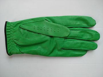 Golfhandschuh, Golfhandschuh, Handschuh, Handschuh fournisseur