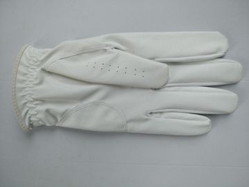Golfhandschuh, Golfhandschuh, Handschuh, Handschuh fournisseur