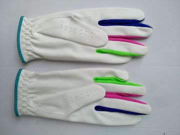 Golfhandschuh, Golfhandschuh, Handschuh, Handschuh fournisseur