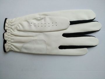 Golfhandschuh, Golfhandschuh, Handschuh, Handschuh fournisseur