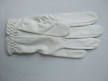 Golfhandschuh, Golfhandschuh, Handschuh, Handschuh fournisseur