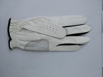 Golfhandschuh, Golfhandschuh, Handschuh, Handschuh fournisseur